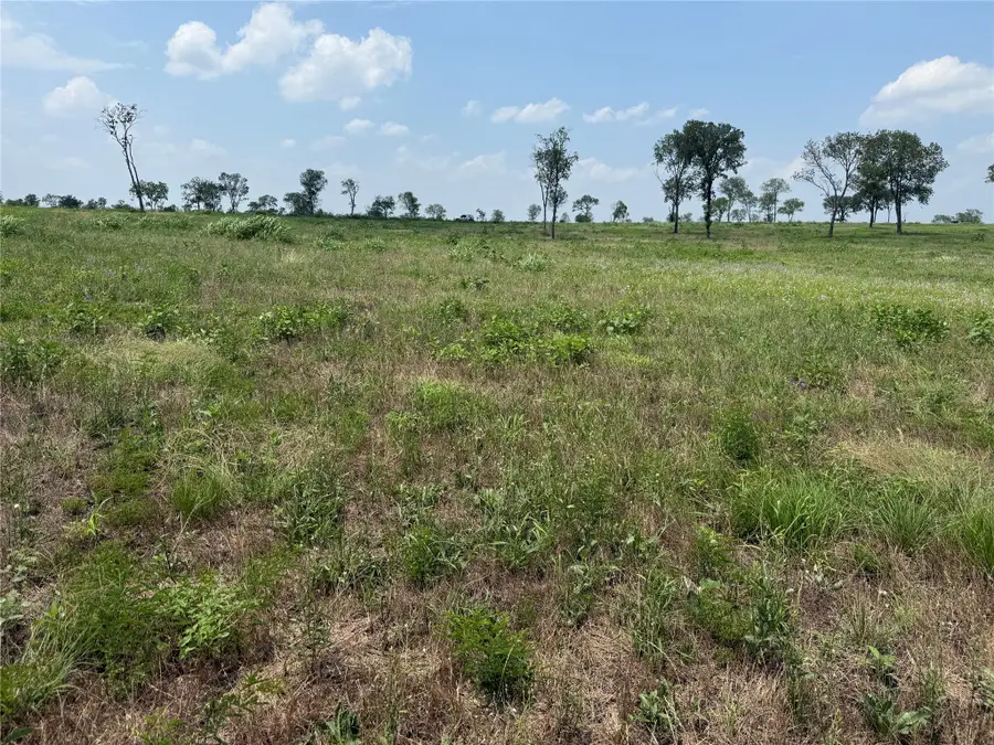 Lot 230 Waterfront Club Drive, Corsicana, TX 75110 - #3