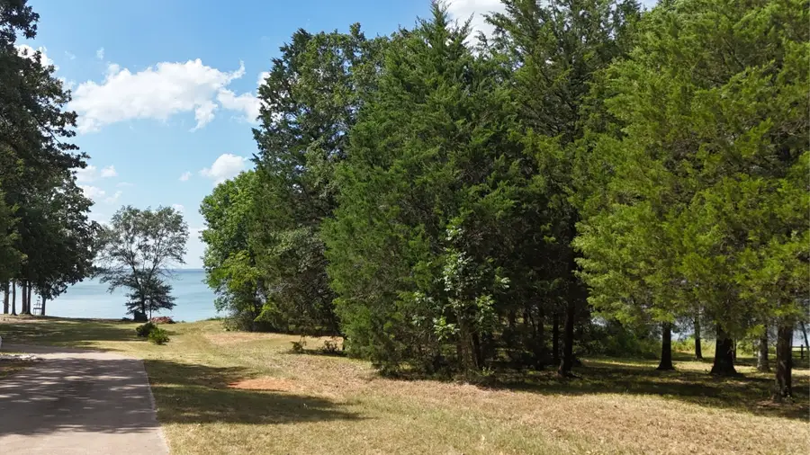 Lot 81 Appomattox, Streetman, TX 75859 - #3