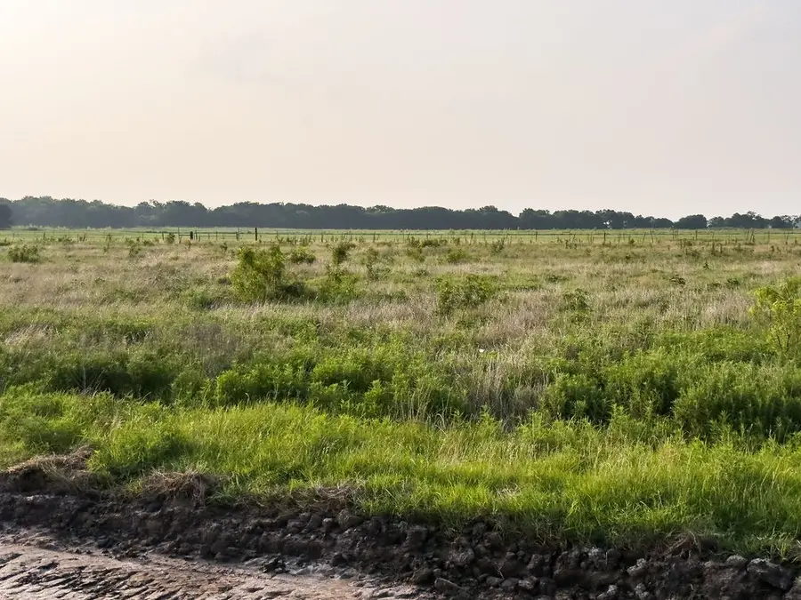 LOT 19 Elm Branch, Elm Mott, TX 76640 - #3
