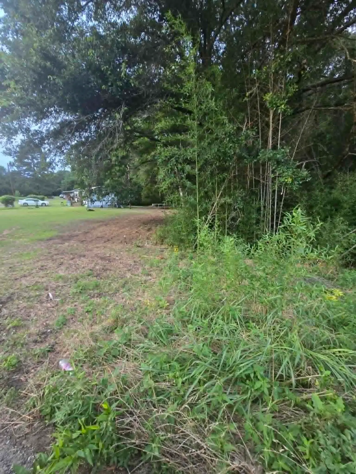 TBD W Hwy 49, Daingerfield, TX 75638 - #1