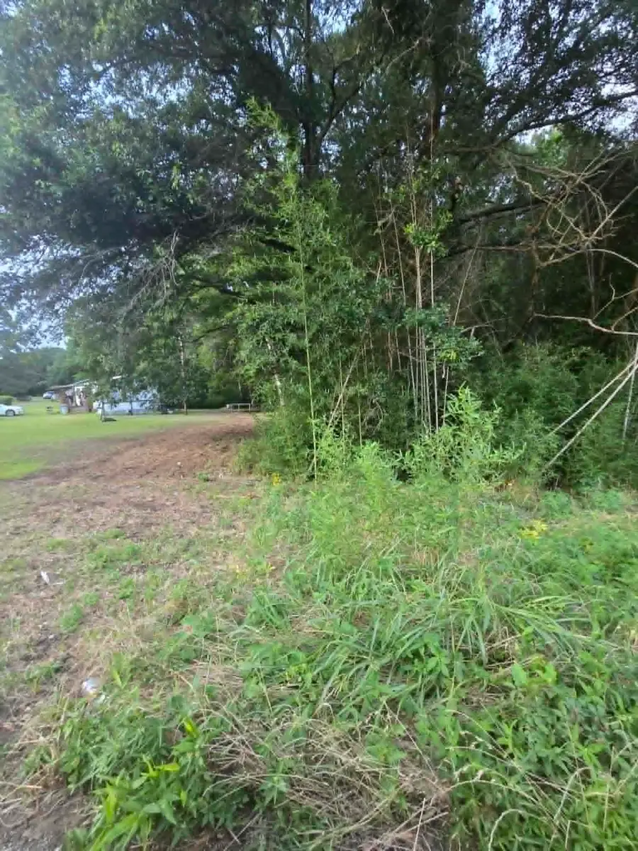 TBD W Hwy 49, Daingerfield, TX 75638 - #3