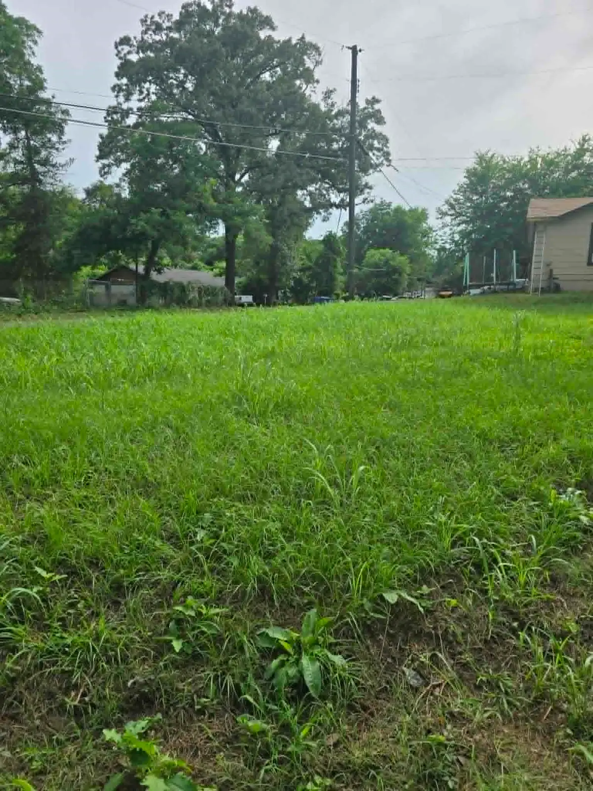 800 Webb Street, Daingerfield, TX 75638 - #1