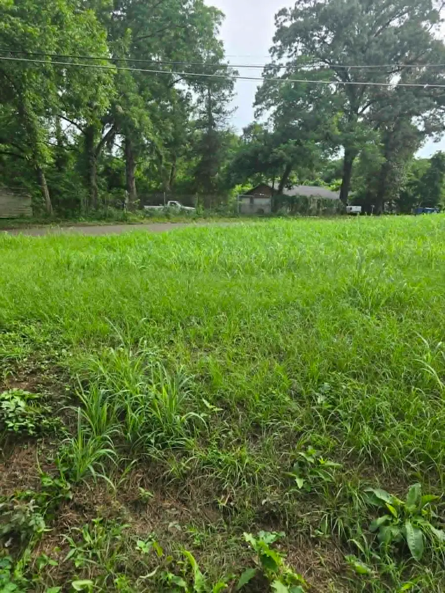 800 Webb Street, Daingerfield, TX 75638 - #3