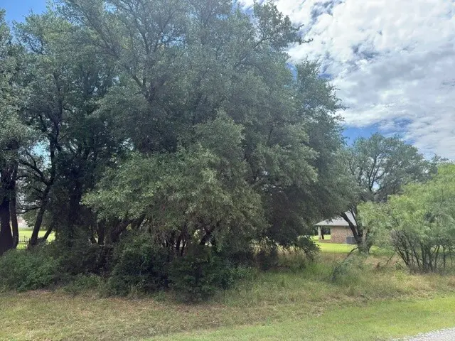13025 Eagles Nest Drive, Whitney, TX 76692 - #1