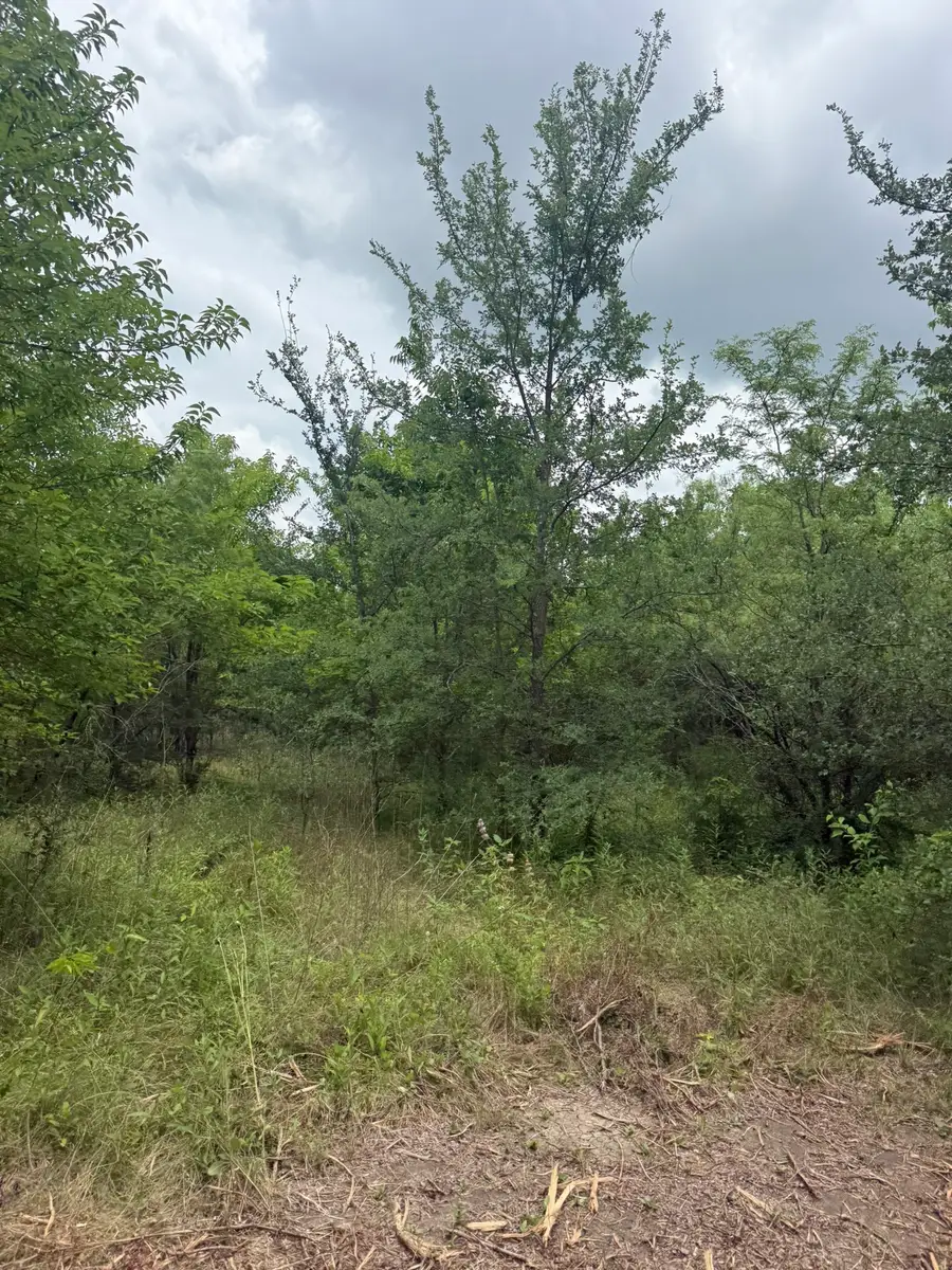 TBD Mcknight, Ellis, TX 75125 - #2