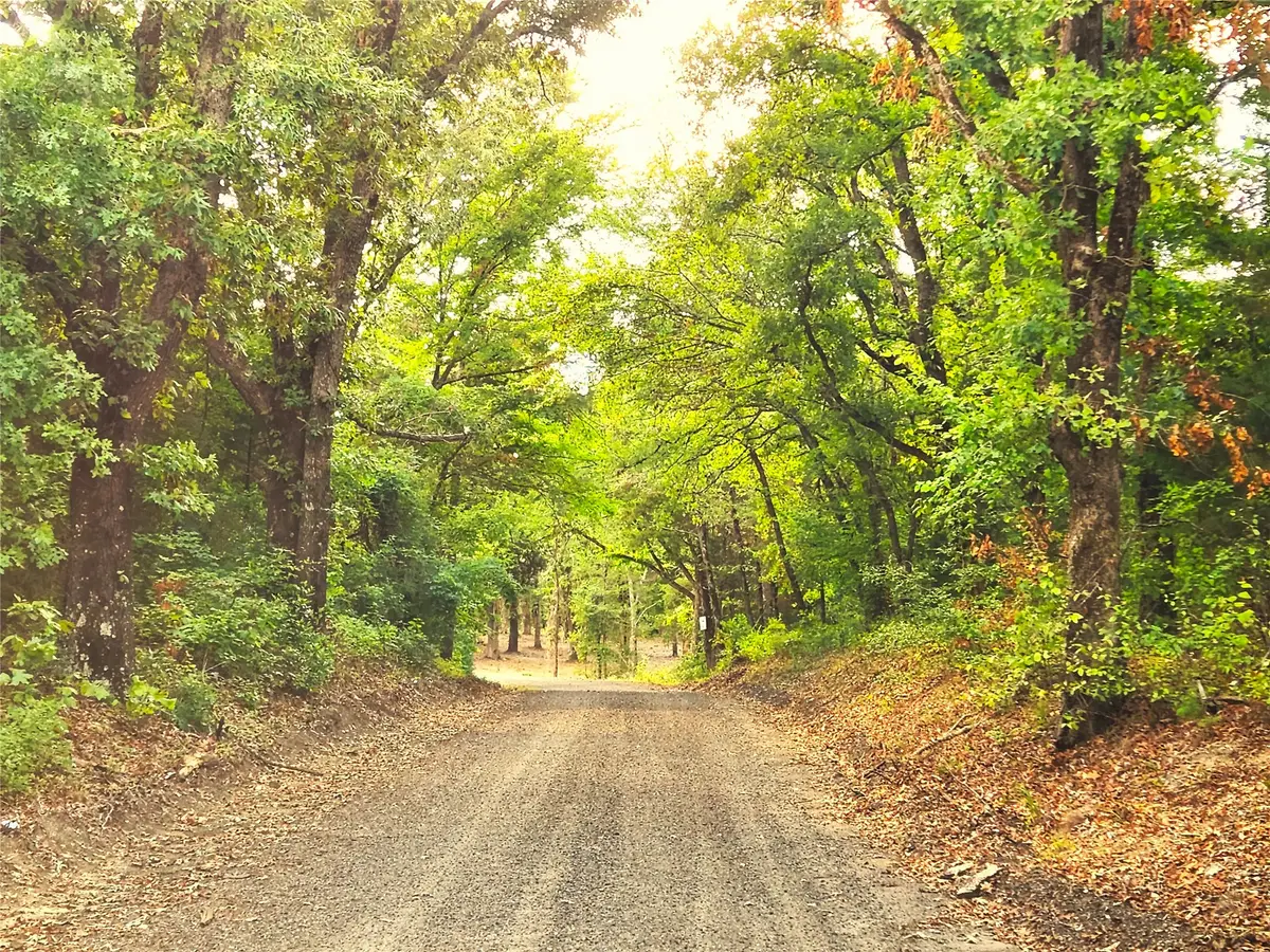 Lot 465 Cr-4710, Larue, TX 75770 - #1