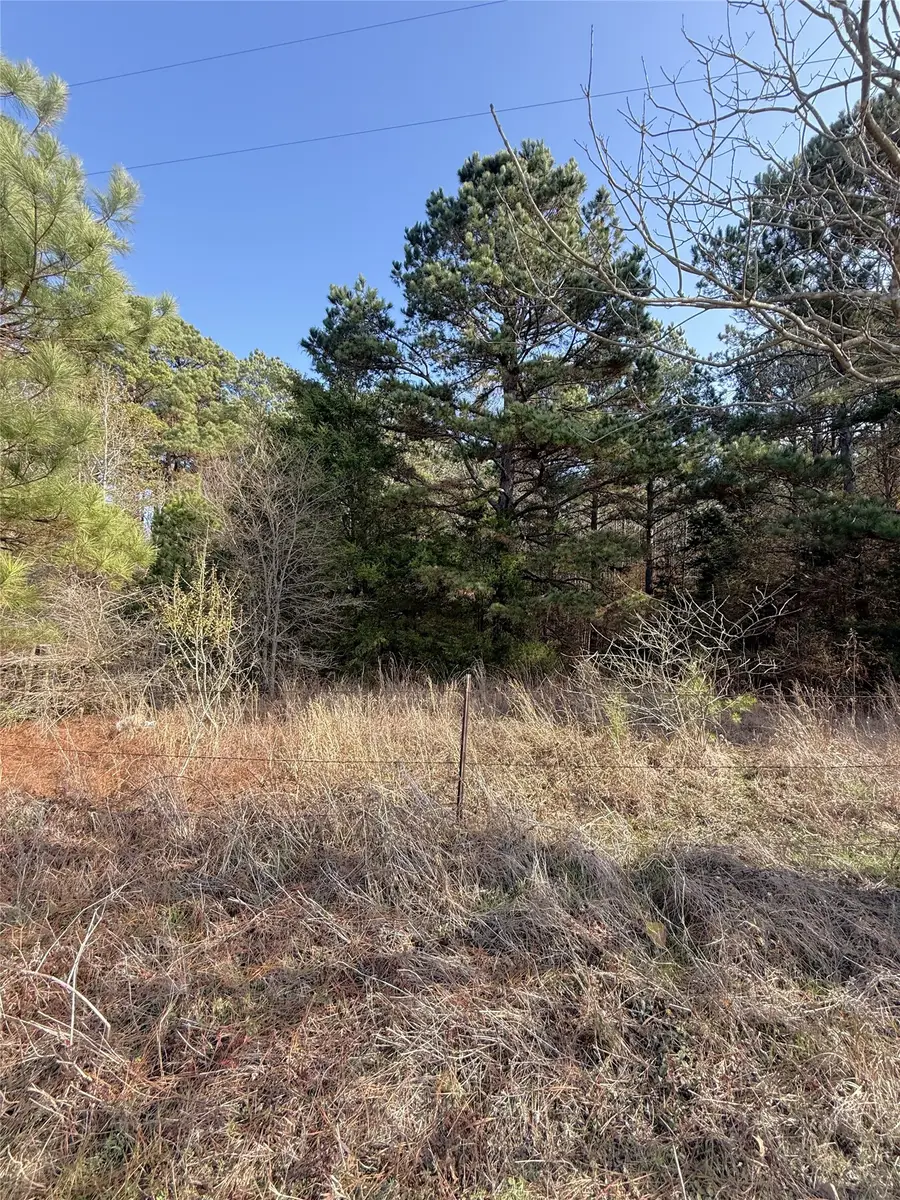 0 Fm 2888, Marietta, TX 75566 - #2