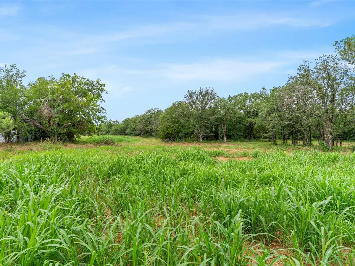 709 County Road 3355, Paradise, TX 76023 - #1