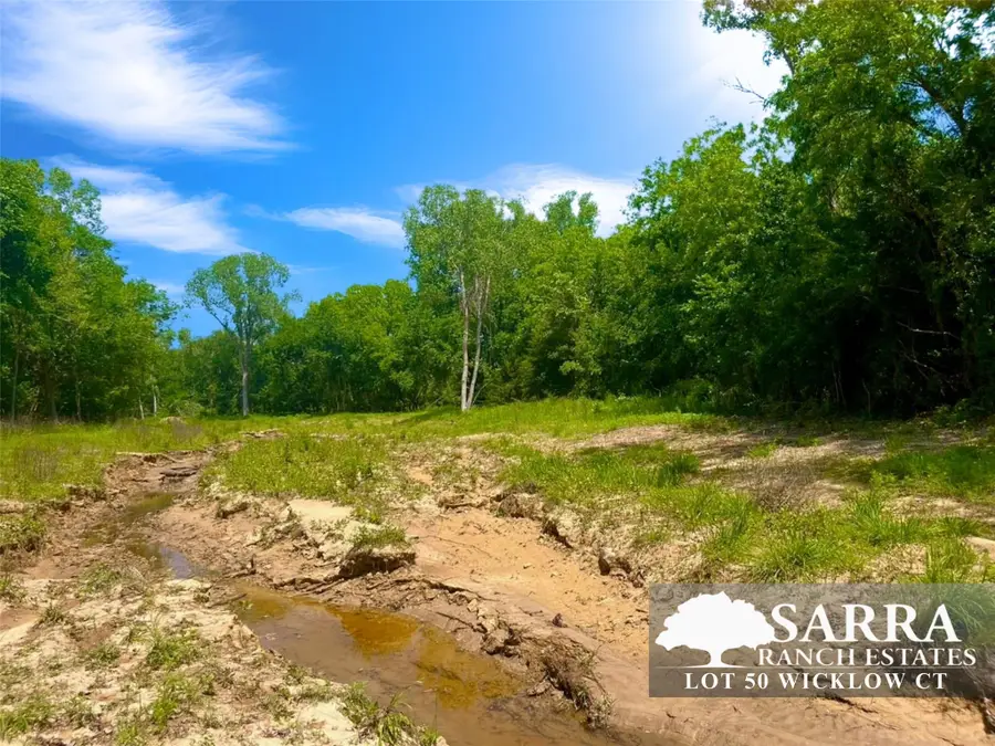 Lot 50 Wicklow Court, Poolville, TX 76487 - #2