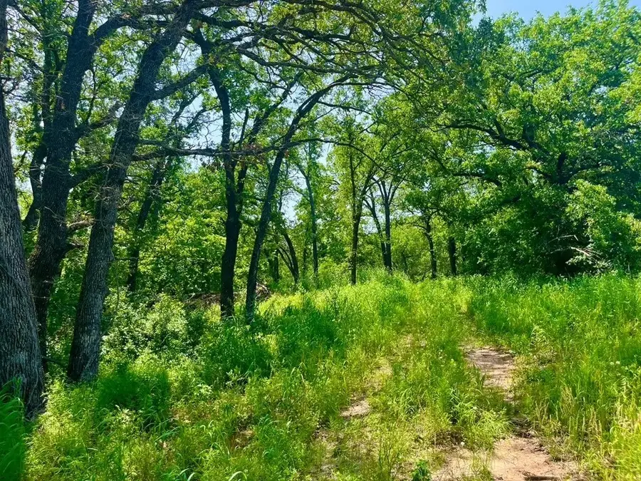 Lot 44 Antrim Court, Poolville, TX 76487 - #2