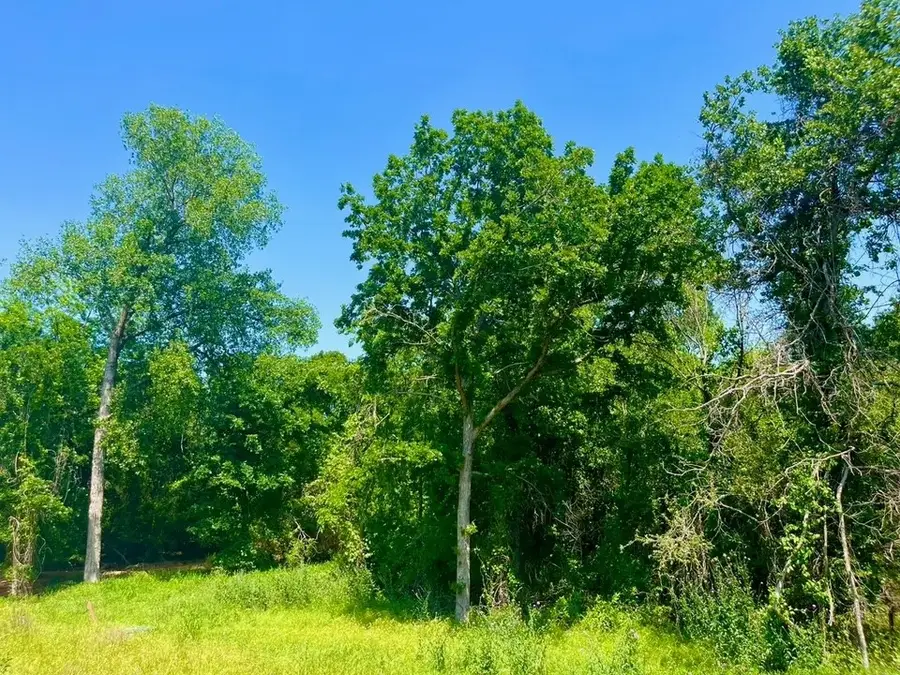 Lot 47 Antrim Court, Poolville, TX 76487 - #3