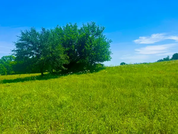 Lot 102 Arlow Road, Poolville, TX 76487