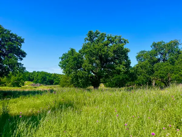 Lot 69 Kilkenny Road, Poolville, TX 76487