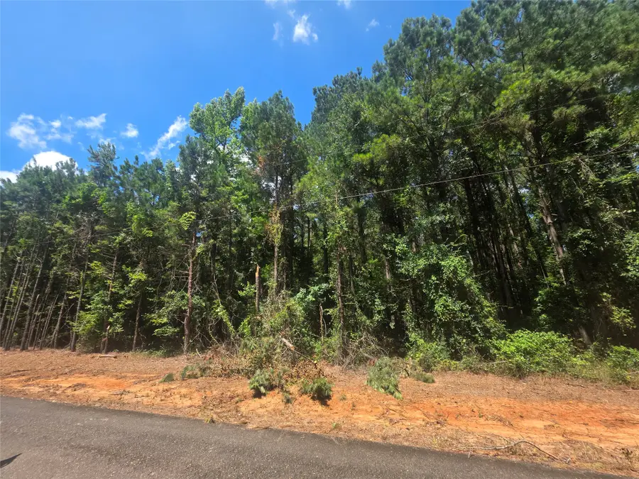 0 Pleasant Hill Cemetery Road, Plain Dealing, LA 71064 - #2