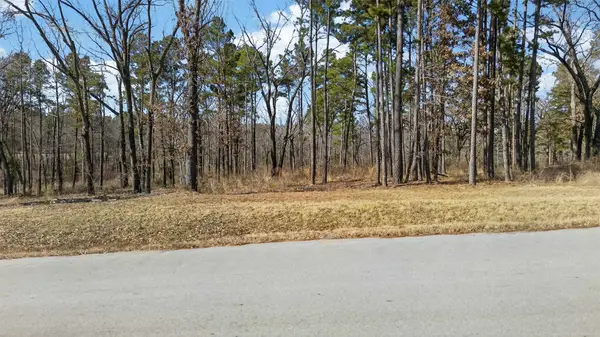 3200 Shadow Pine (lot 47) Drive, Larue, TX 75770