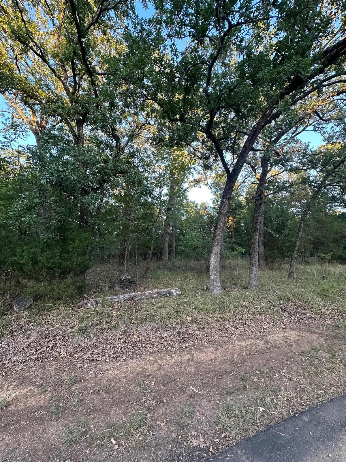 101 Cedar Oaks Drive, Mabank, TX 75156 - #1