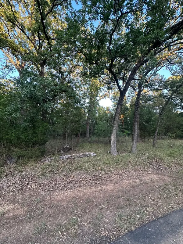 101 Cedar Oaks Drive, Mabank, TX 75156