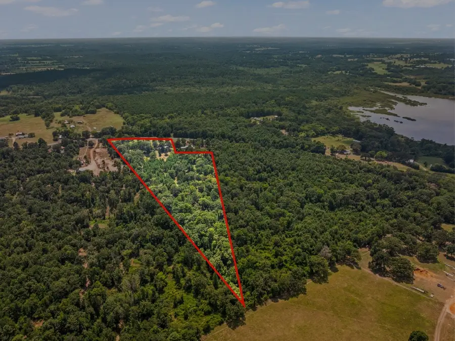 TBD Fm 1519, Leesburg, TX 75451 - #2