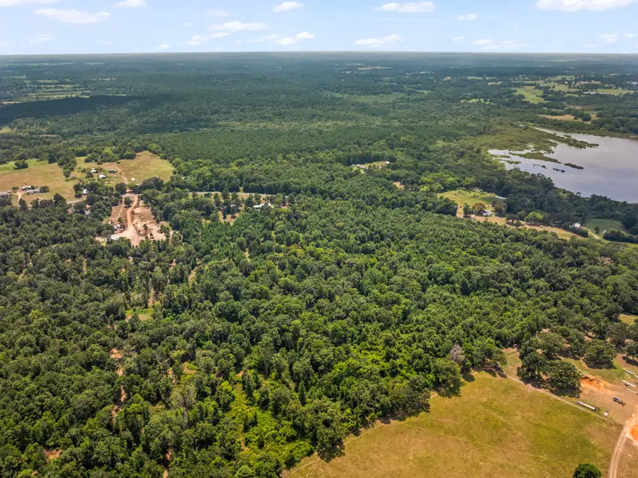 TBD Fm 1519, Leesburg, TX 75451 - #3