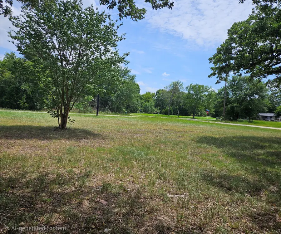 900 Bora Bora Street, Tool, TX 75143 - #2