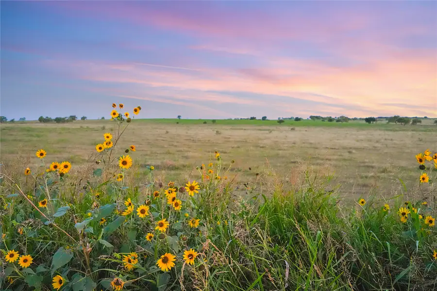 90 County Road 515, Energy, TX 76452 - #3
