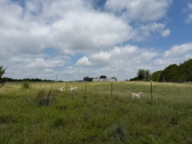 3828 W Fm 219, Hico, TX 76457 - #1