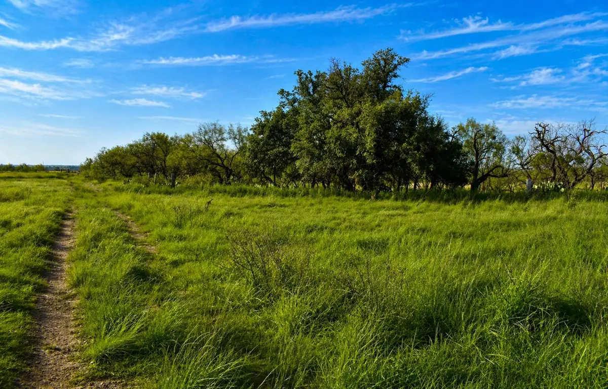 20 A Cr 144, Brady, TX 76825 - #1