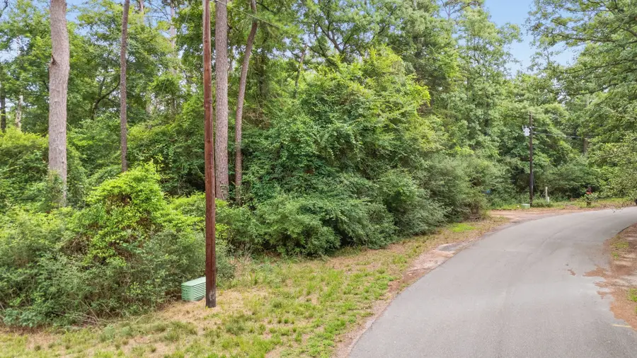 TBD Valleywood Cove, Holly Lake Ranch, TX 75765 - #2