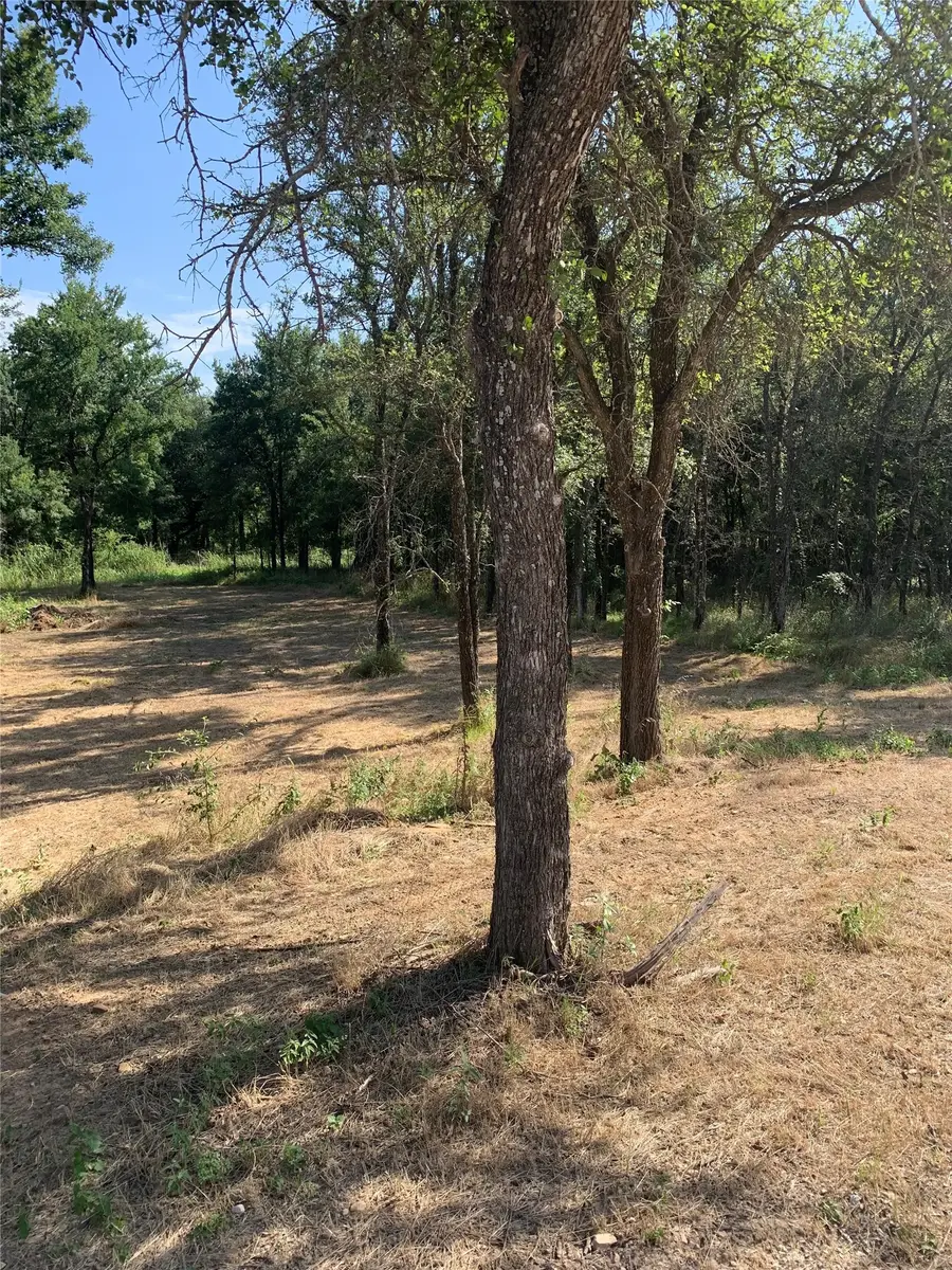 2 Lots Cimmarron Trail, Runaway Bay, TX 76426 - #3