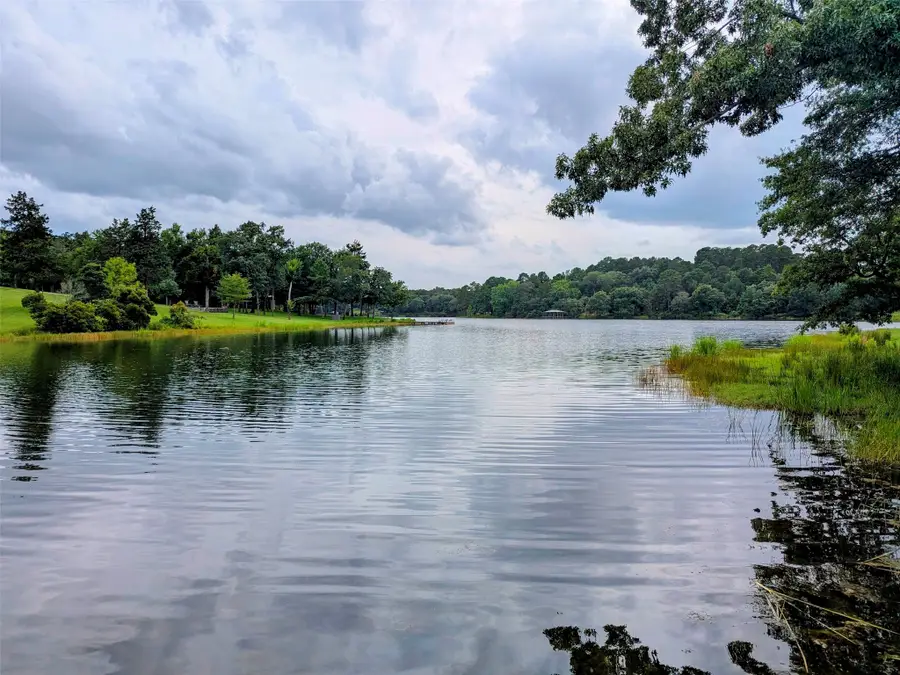 00 Striper Cove, Larue, TX 75770 - #3