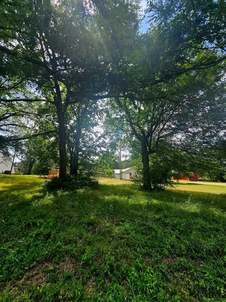 TBD Tanglewood Drive, Mabank, TX 75156 - #2
