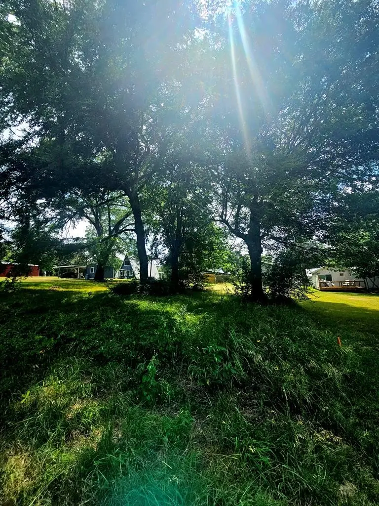 TBD Tanglewood Drive, Mabank, TX 75156 - #3