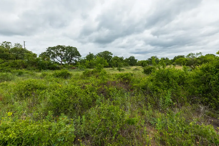 17156 County Road 225, Clyde, TX 79510 - #2