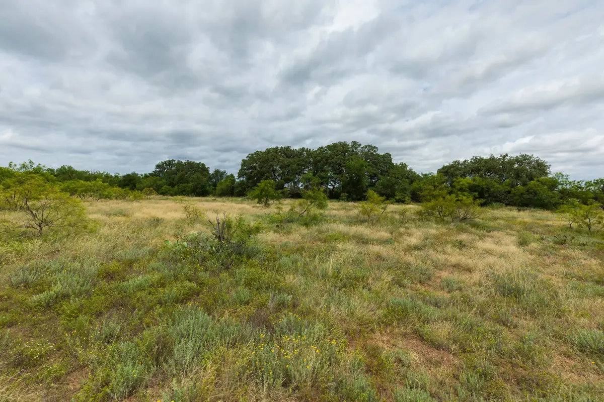 TBD Cr 255, Oplin, TX 79510 - #1