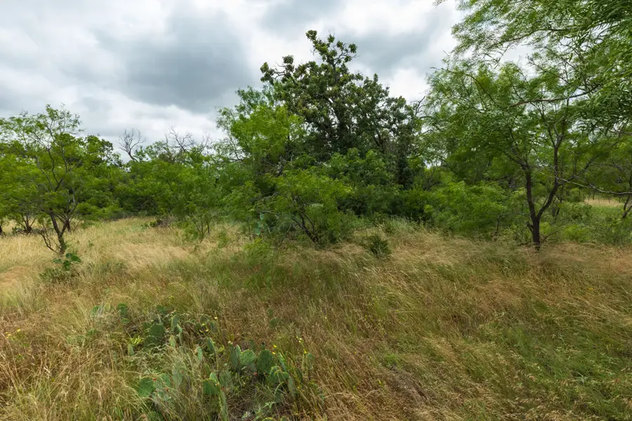 TBD Cr 255, Oplin, TX 79510 - #3