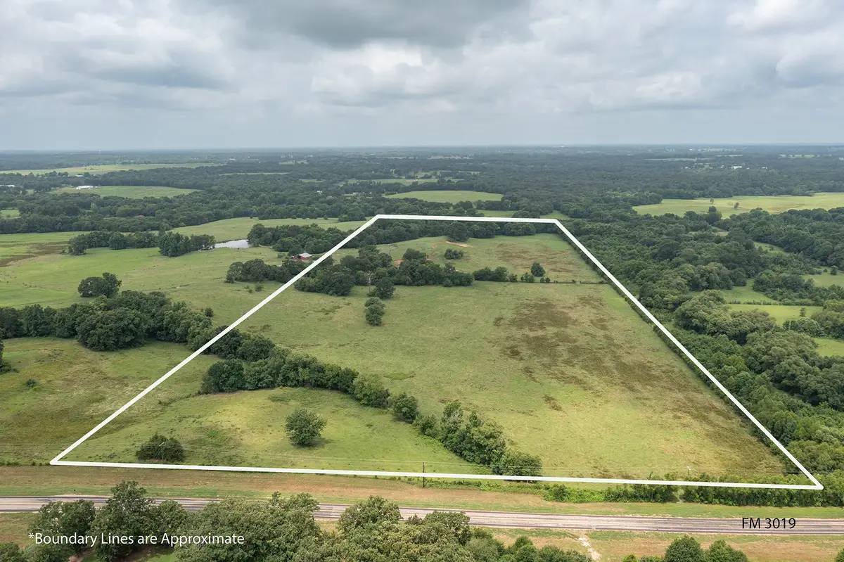 n/a Fm 3019, Winnsboro, TX 75494 - #1