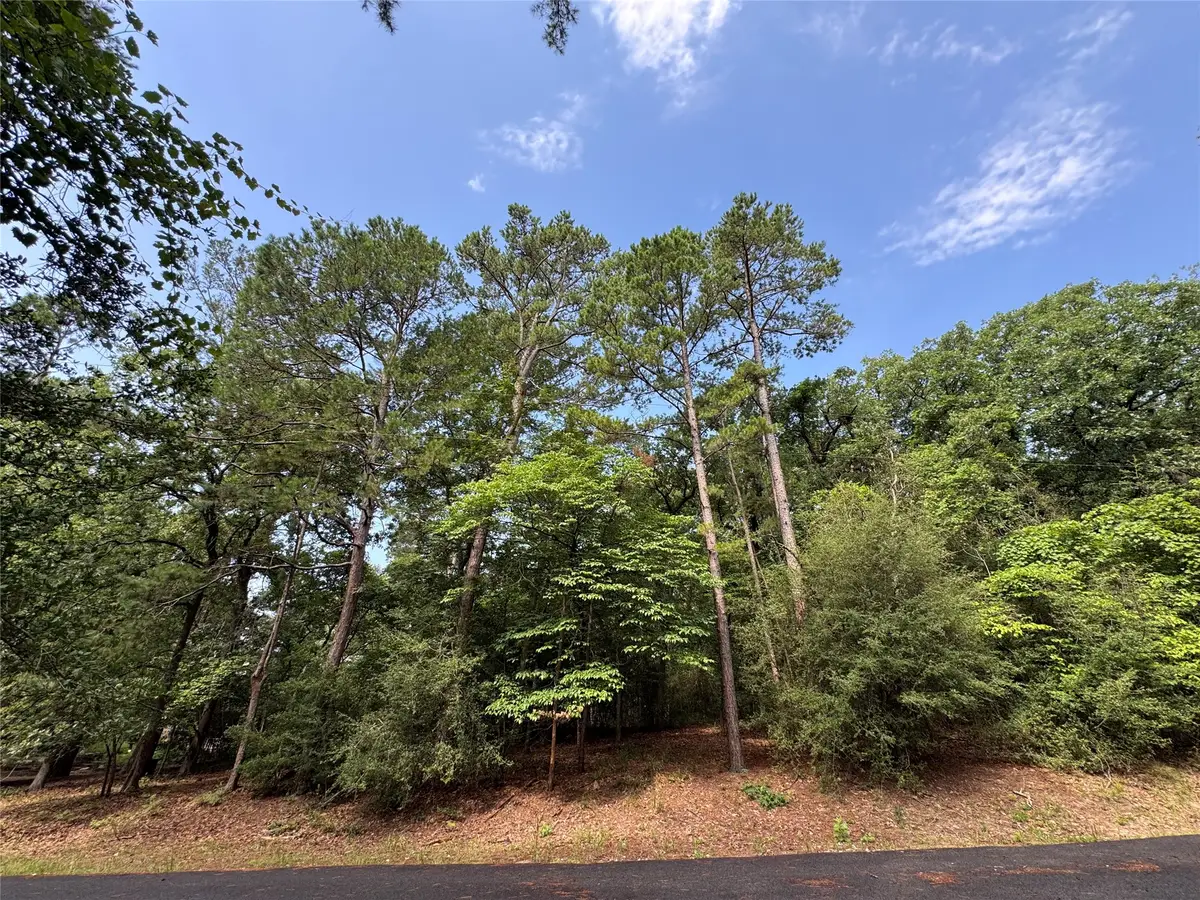 165 Whipporwill Lane, Holly Lake Ranch, TX 75765 - #1