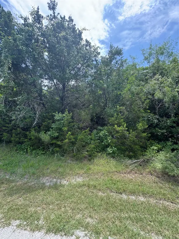 12208 Rolling Oaks Drive, Whitney, TX 76692