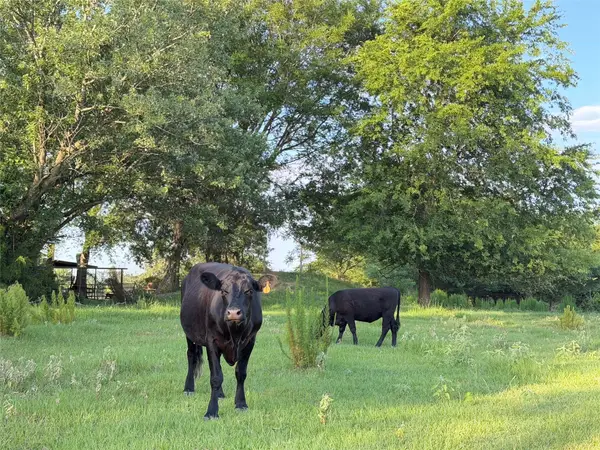 TBD Cr 4260, Mt Pleasant, TX 75455