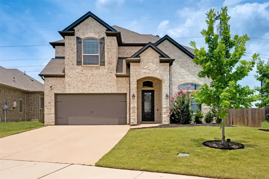 523 William Court, Arlington, TX 76002 - #2