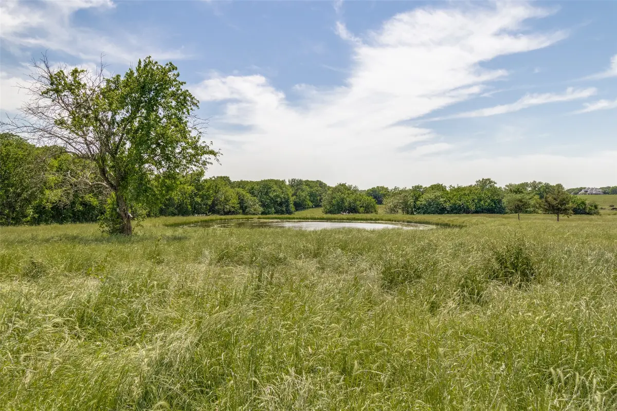 7163 Cr 573, Blue Ridge, TX 75424 - #1