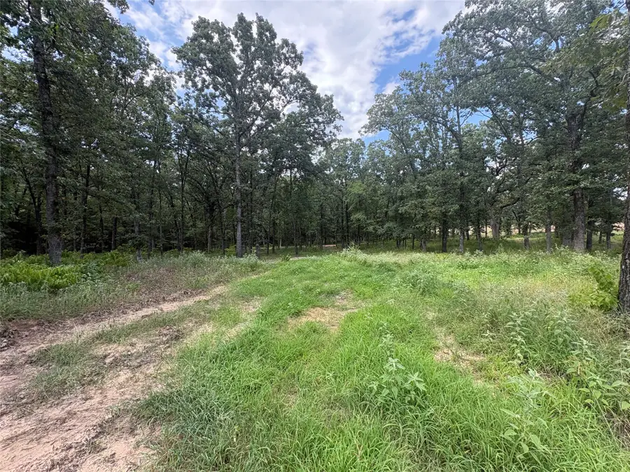 TBD Private 5948 Road #23, Yantis, TX 75765 - #2