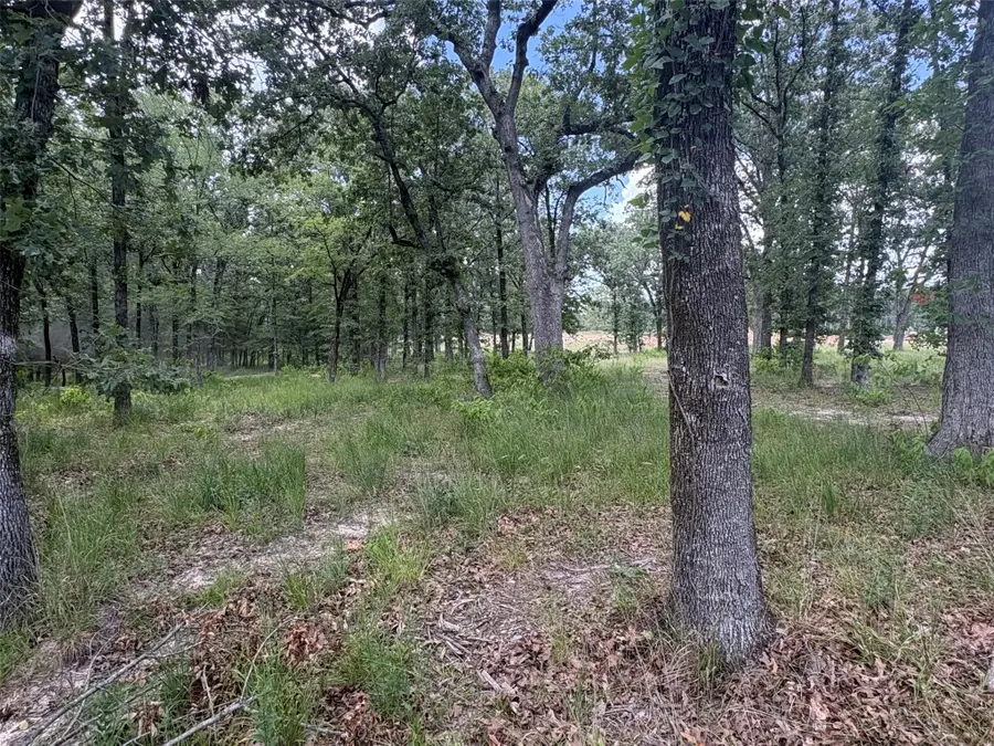 TBD Private 5948 Road #23, Yantis, TX 75765 - #3