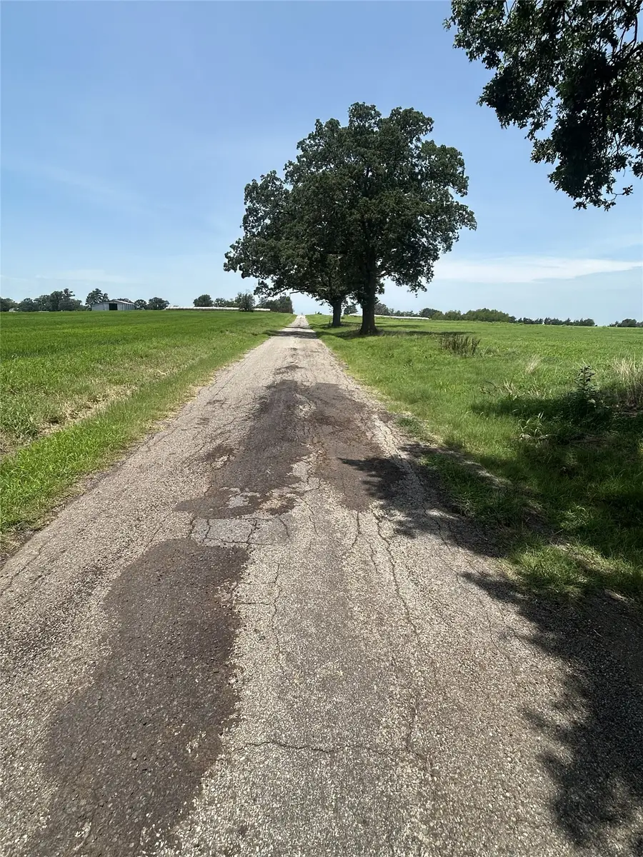 Lot 1 CR 3356 S Fm 900, Saltillo, TX 75478 - #2