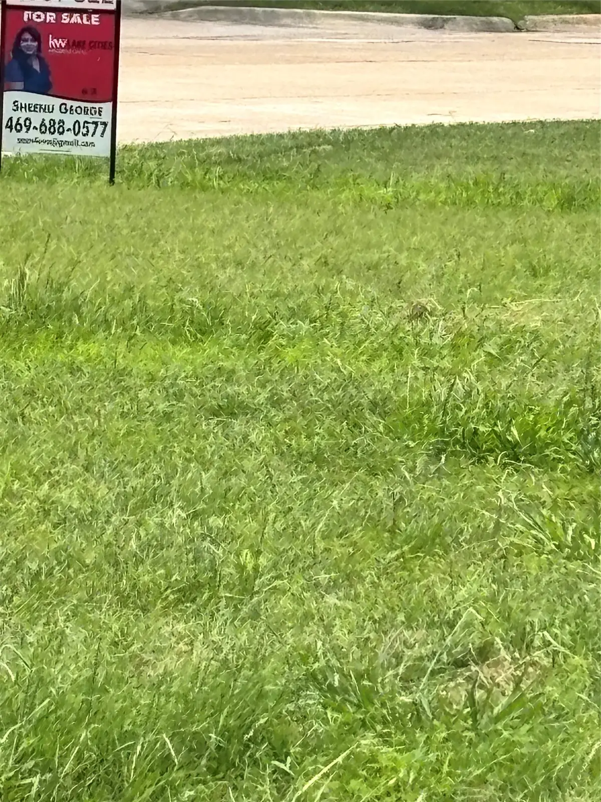575 Broadway, Garland, TX 75043 - #1