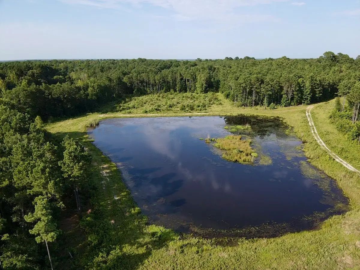000 Hwy 37 N, Clarksville, TX 75426 - #1