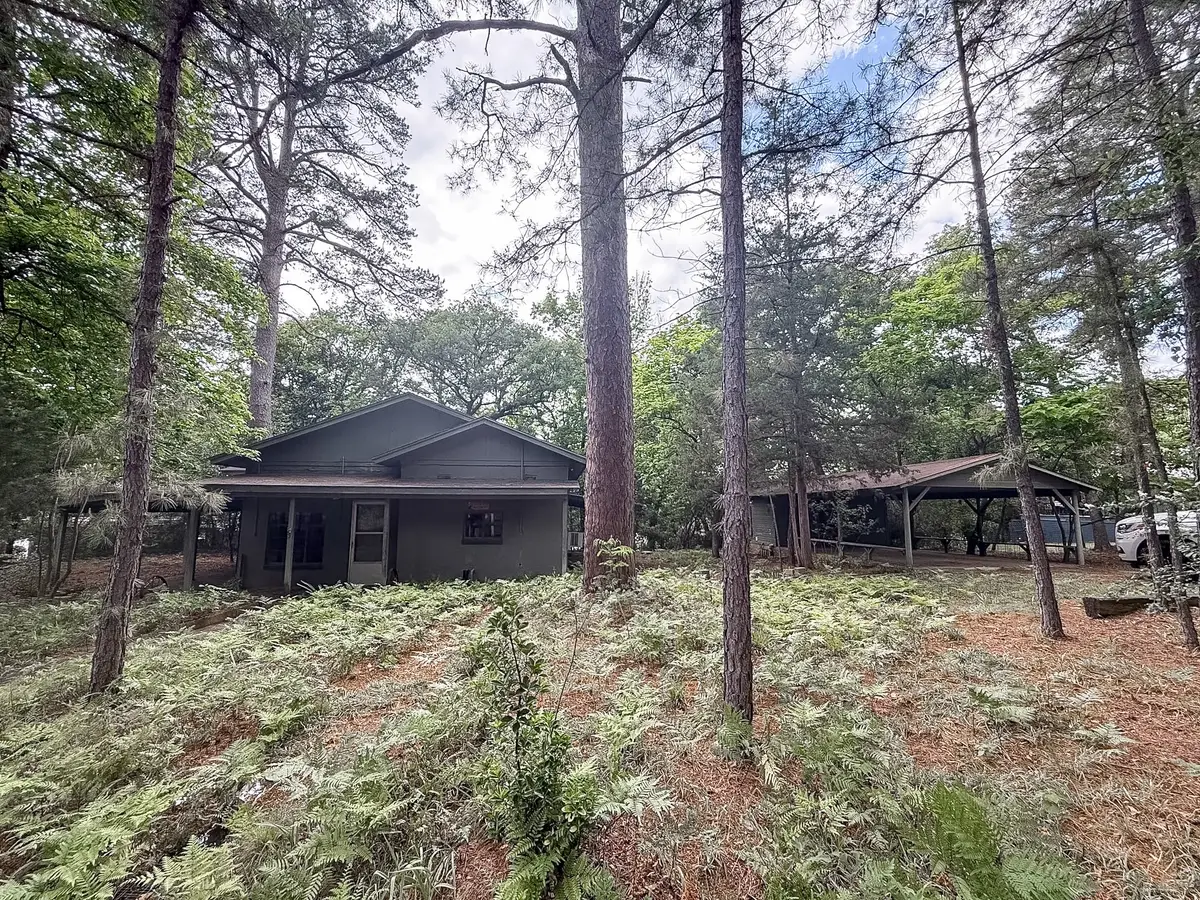 1036 Lake Franklin Dr, Winnsboro, TX 75494 - #1