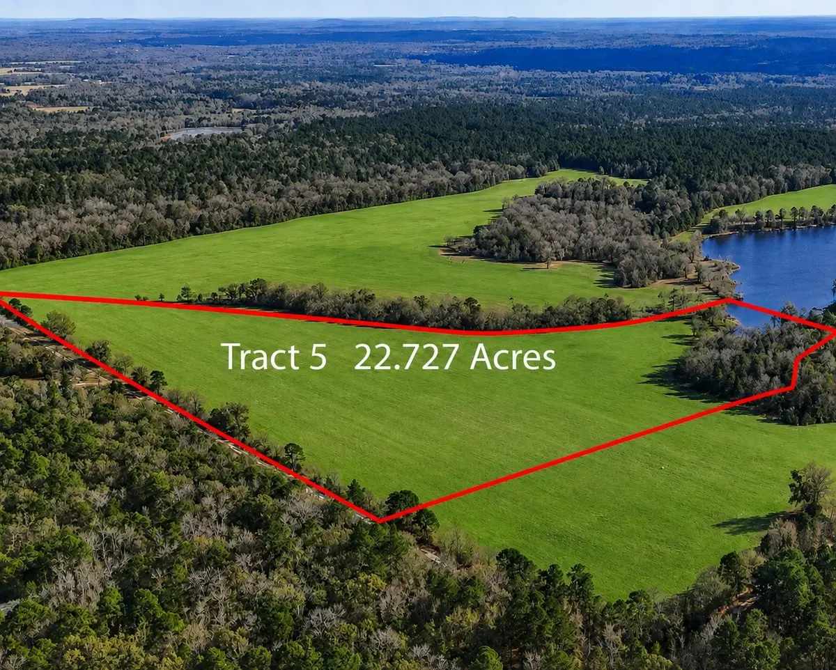 1040 County Road 3590, Winnsboro, TX 75494 - #1