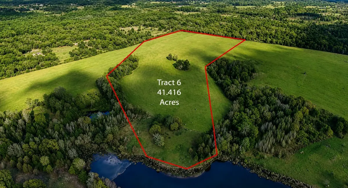 1040 County Road 3590, Winnsboro, TX 75494 - #1