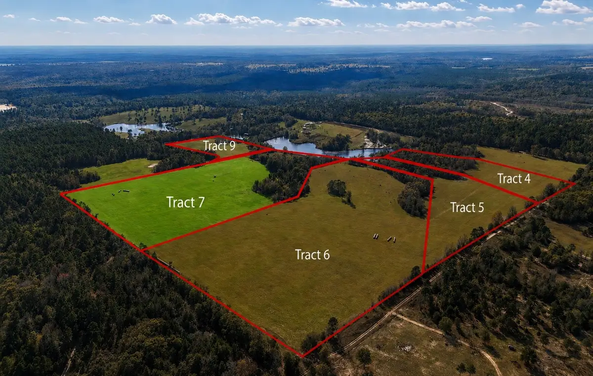 1040 County Road 3590, Winnsboro, TX 75494 - #1